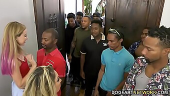 Haley Reed And Her Mother Kiki Daire Enjoy A Wild Gangbang With Twelve Black Men