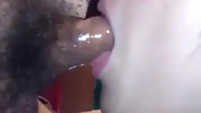 Chinese Amateur Girls Take Cum In Their Mouths