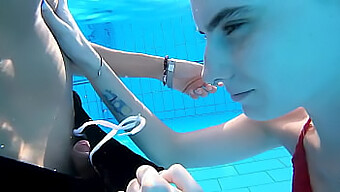 Darcy Darks Wilde Reise: Vom Pool Ins Hotel Auf Bali